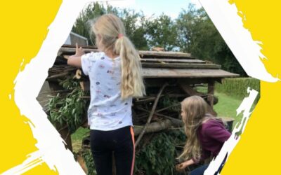 Moestuinproject basisschool Pieterburen