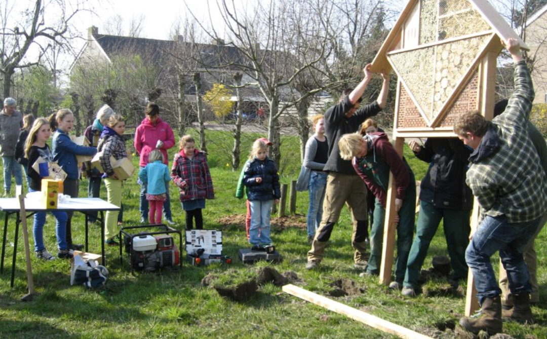 Moestuinproject